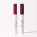 Lash + Brow Kit
